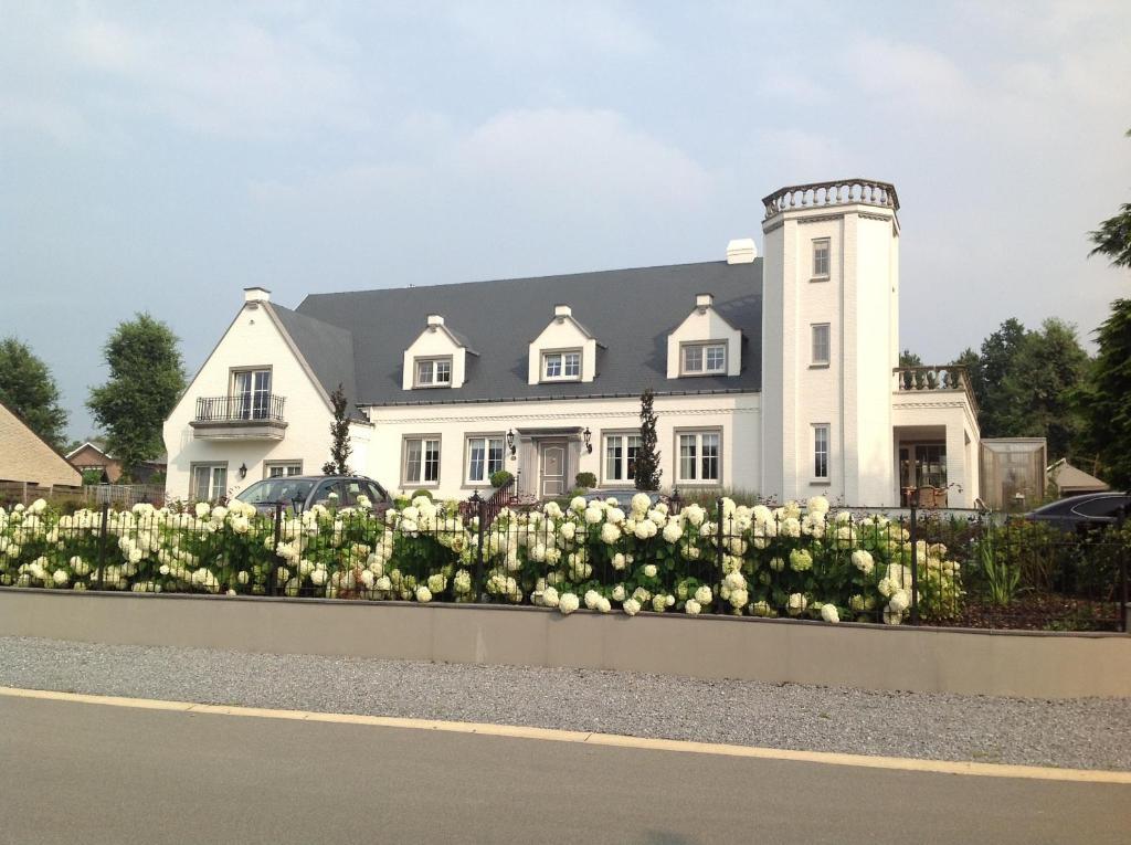 Reynaert Bed & Breakfast Opoeteren